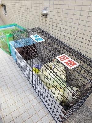 Other common areas. Garbage dump