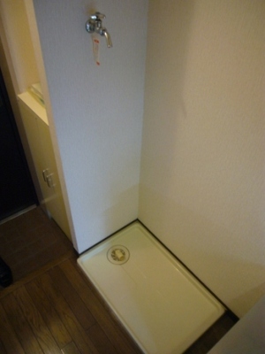 Washroom. Washing machine in the room