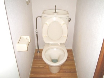 Toilet. Toilet