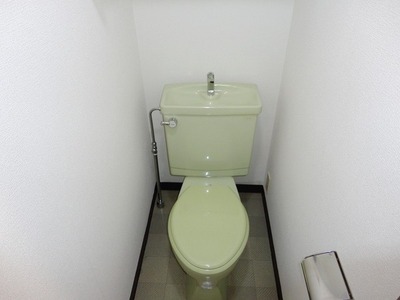 Toilet. Toilet is clean