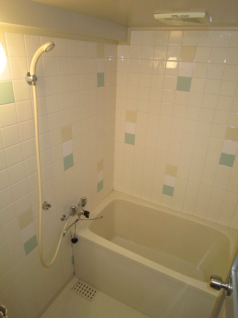 Bath. Comfortably hot water supply in the reheating bus