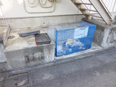 Other common areas. Garbage dump