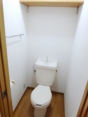 Toilet. With shelf on the top