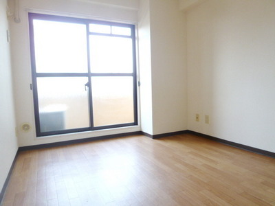 Living and room. Sunny room