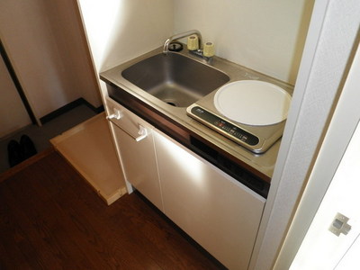 Kitchen. Peace of mind of the IH stove