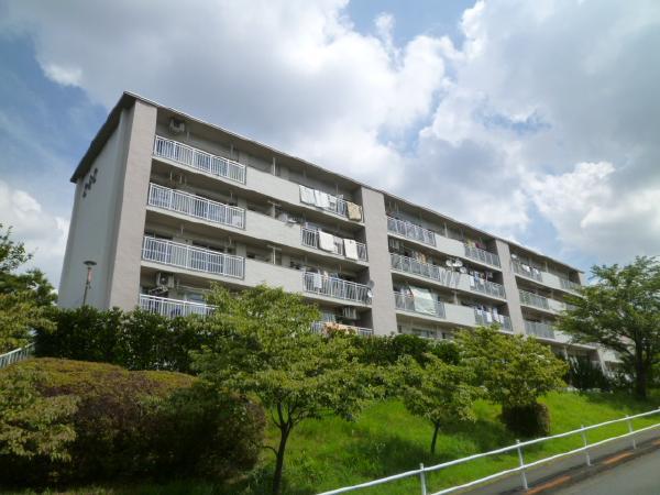 Local appearance photo. Local (August 2012) shooting