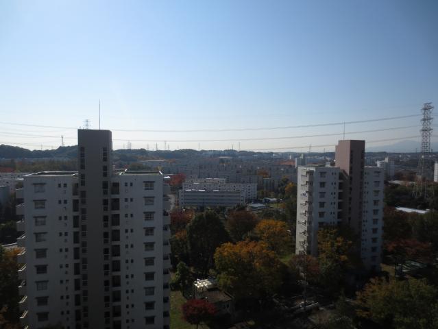 View photos from the dwelling unit. No front building, Please see the view from the top floor!