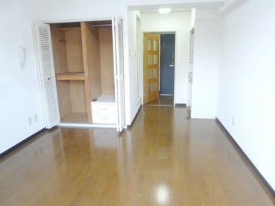 Living and room. Spacious Western-style