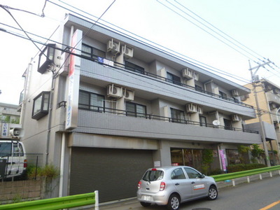 Building appearance. Mansion Type