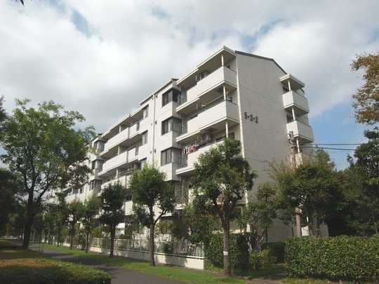 Tama Ochiai, Tokyo 5