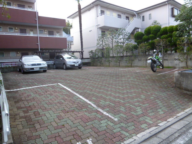 Parking lot. Parking lot