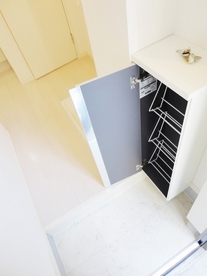 Entrance. There cupboard