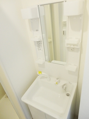 Washroom. It has become a shampoo dresser