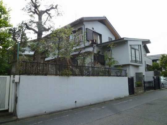 Local land photo. Local appearance