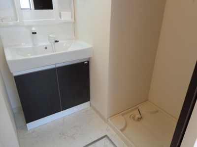 Washroom. Shampoo dresser