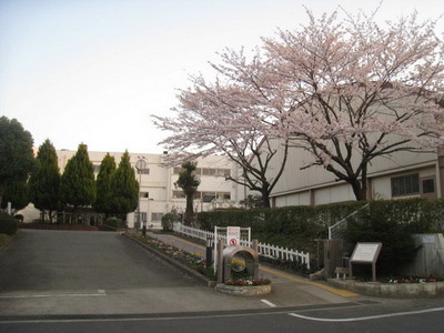 Primary school. Renkoji up to elementary school (elementary school) 86m