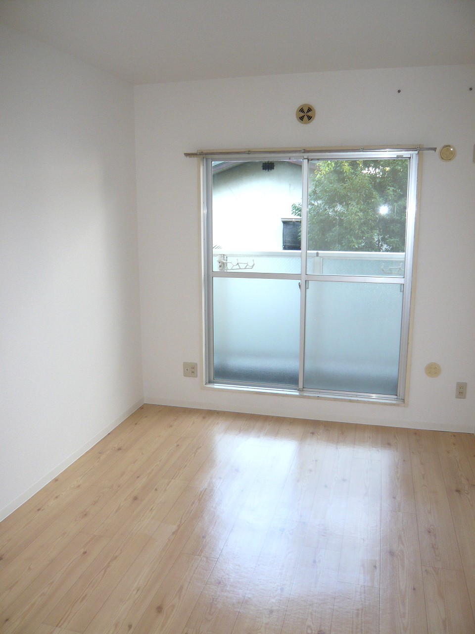 Living and room. Clean rooms