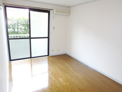 Living and room. Bright Western-style