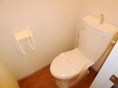 Toilet. Clean toilet