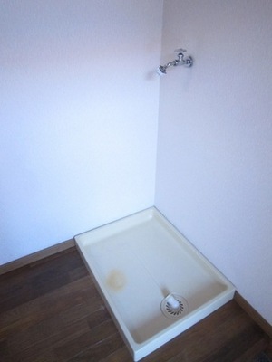 Washroom. Indoor Laundry Storage