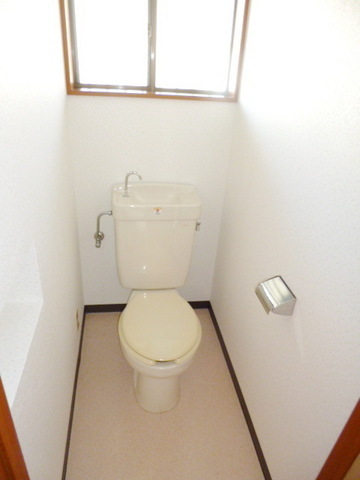 Toilet. Clean toilet