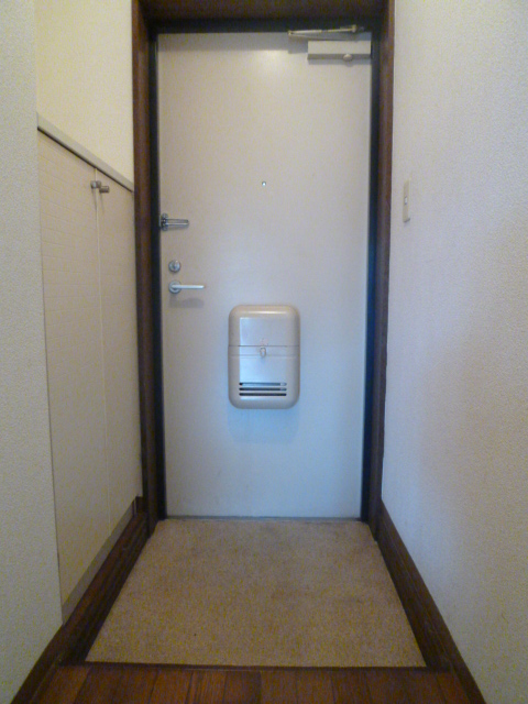 Other. It is the entrance space with a shoe box