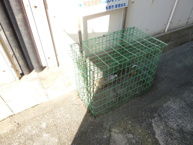 Other common areas. ☆ Garbage yard ☆