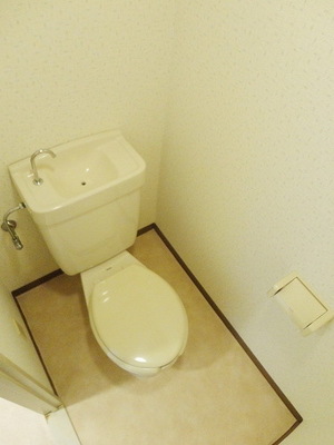 Toilet. Toilet