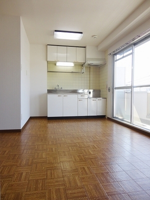 Other room space. Living dining