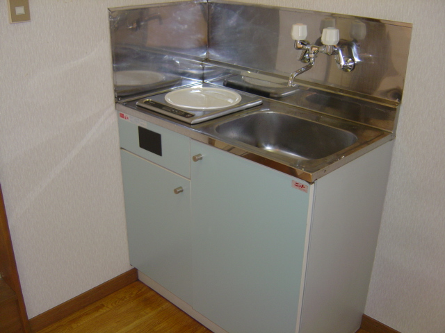 Kitchen. IH cooking heater