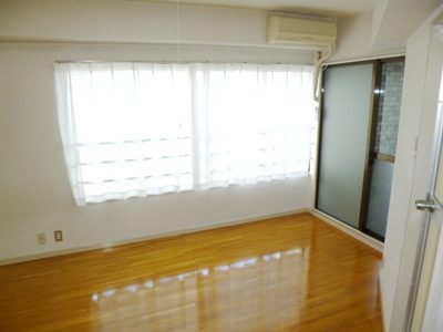 Living and room. Sunny living room is bright