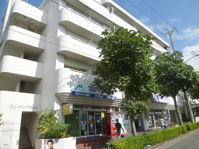 Building appearance. ☆ Mansion Type ☆