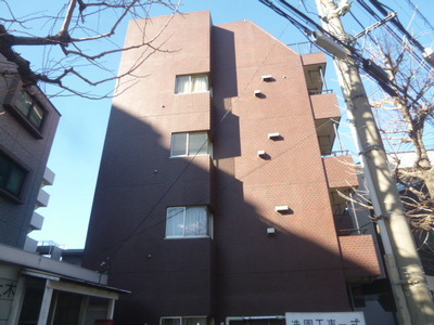 Building appearance. RC Mansion