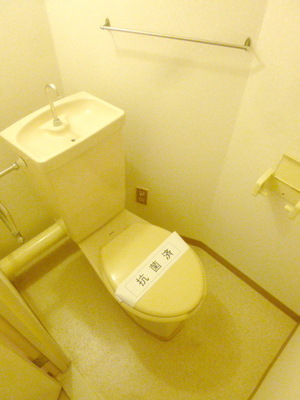 Toilet. Toilet space