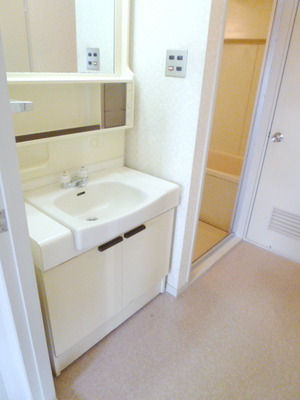 Washroom. Independent wash dressing room