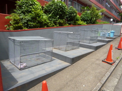 Other common areas. Dedicated waste storage