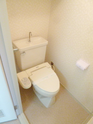 Toilet. Toilet with cleanliness