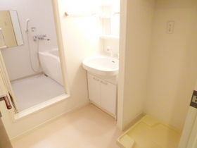 Washroom. Independent wash basin