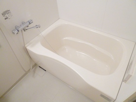 Bath. Additional heating with bus