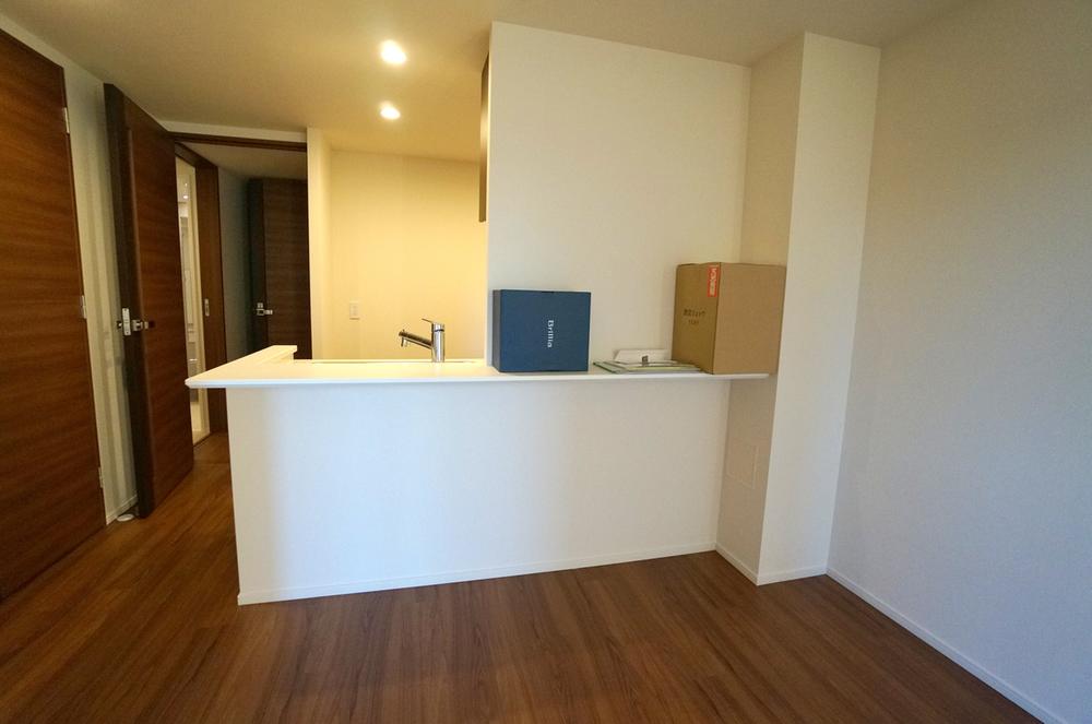 Kitchen. Indoor (11 May 2013) Shooting