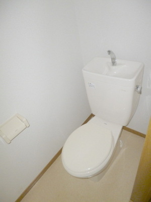 Toilet. Toilet