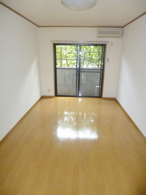 Living and room. Beautiful Western-style