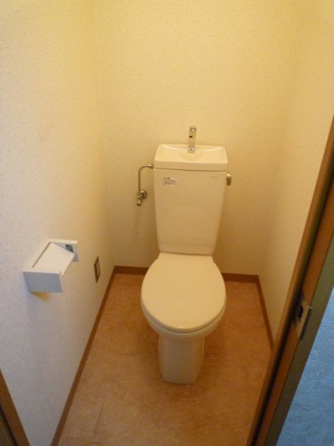 Toilet. Toilet with cleanliness