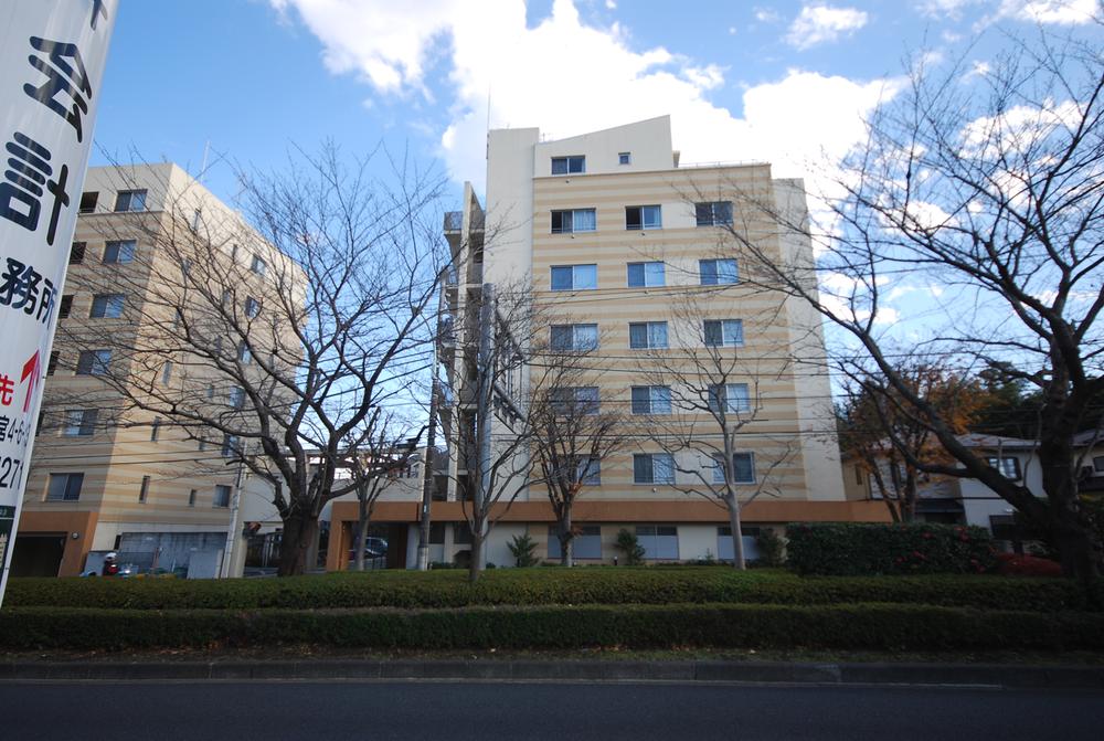 Local appearance photo. December 2013 shooting