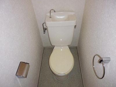 Toilet. Toilet