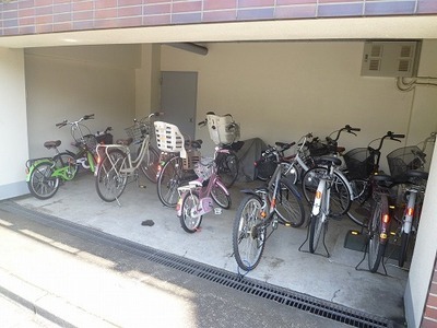 Parking lot. Bicycle-parking space
