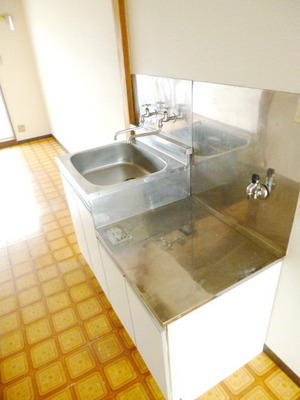 Kitchen. Two-burner gas stove installation Allowed Kitchen