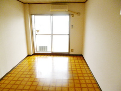 Living and room. Bright Western-style