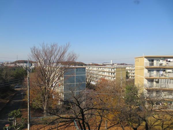 View photos from the dwelling unit. It is the north side view.