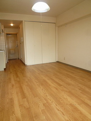 Living and room. Beautiful flooring